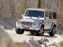 AMG W463(08-)  G-class