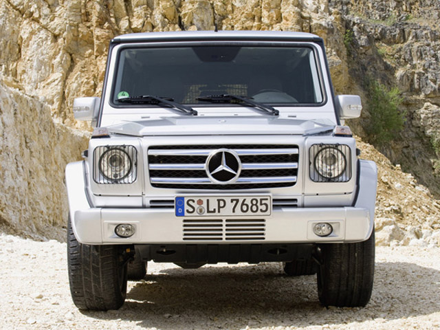 AMG W463(08-)  G-class