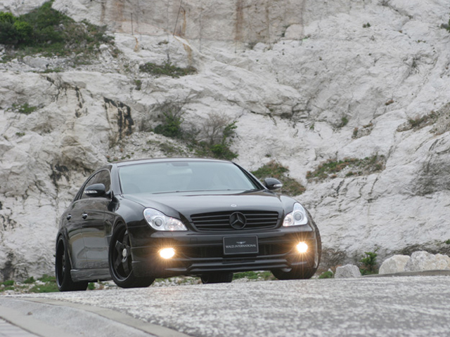 ◇ WALD W219 (-07) CLS-class SPORTS LINE　