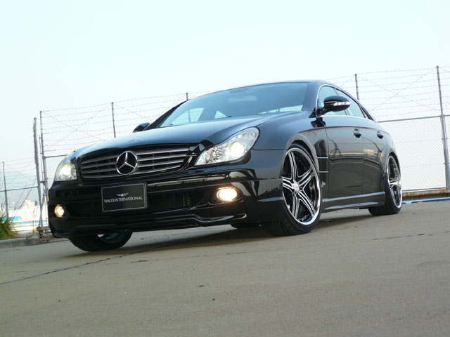 ◇ WALD W219 (-07) CLS-class SPORTS LINE　