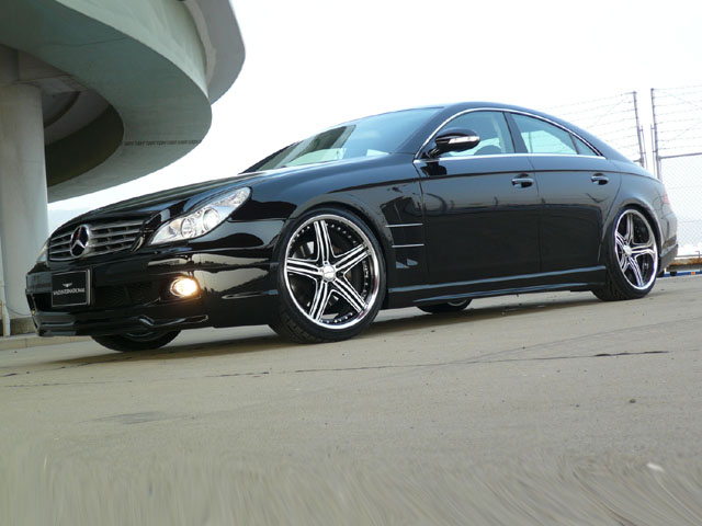 ◇ WALD W219 (-07) CLS-class SPORTS LINE　