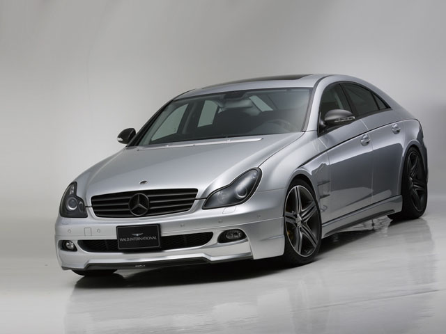 ◇ WALD W219 (-07) CLS-class SPORTS LINE　