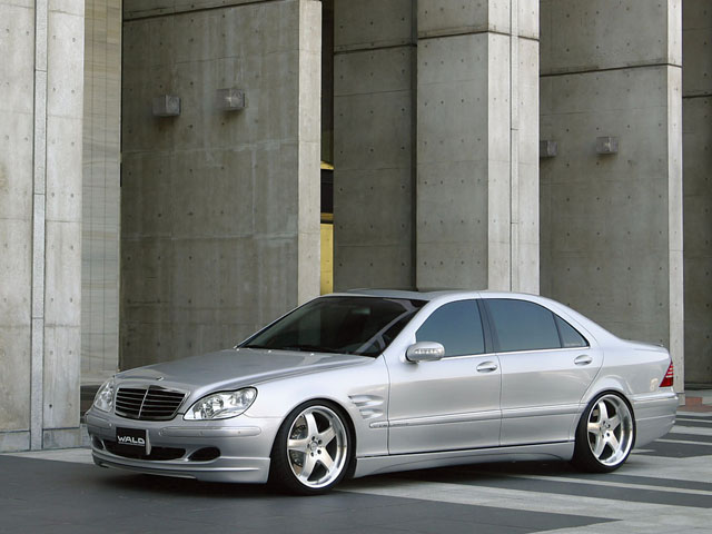 ◇ WALD　W220　(03-)　S-class　EXECUTIVE LINE　