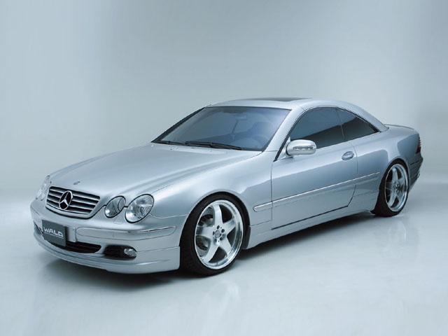 ◇ WALD　W215　(03-)　CL-class　EXECUTIVE LINE　