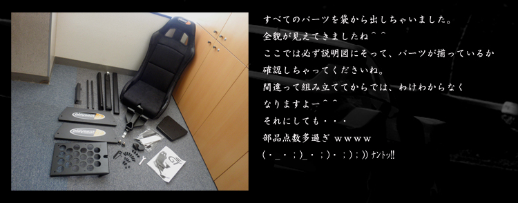 PLAYSEATS/プレイシート/EVOLUTION/G25/G27