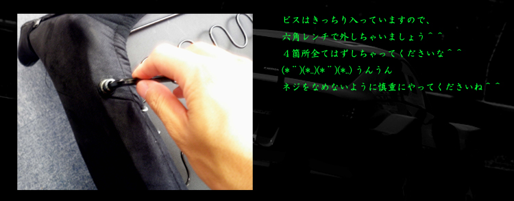 PLAYSEATS/プレイシート/EVOLUTION/G25/G27