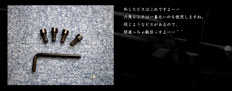 PLAYSEATS/プレイシート/EVOLUTION/G25/G27