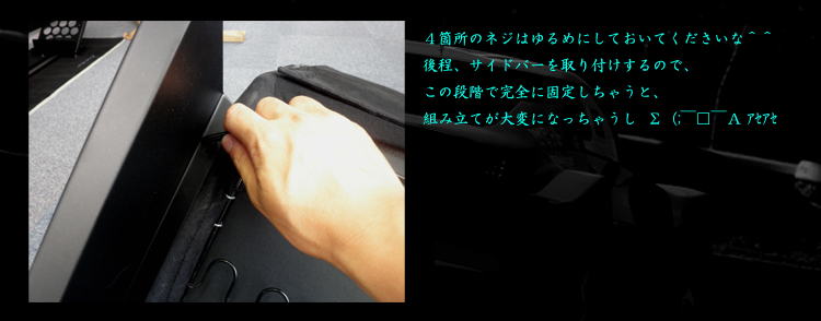 PLAYSEATS/プレイシート/EVOLUTION/G25/G27