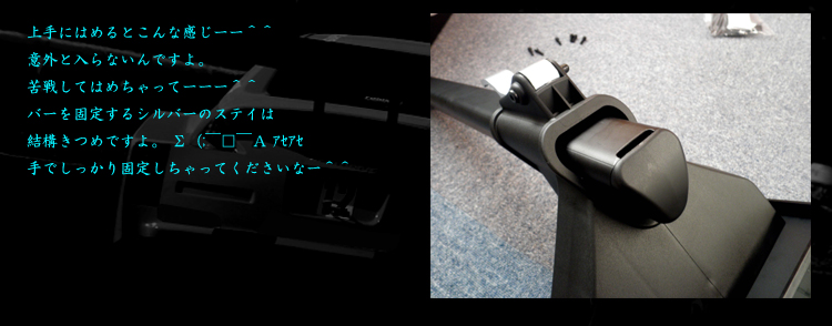 PLAYSEATS/プレイシート/EVOLUTION/G25/G27